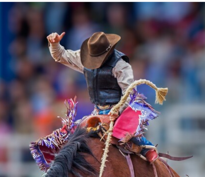 National Finals Rodeo 200 Level Experience
