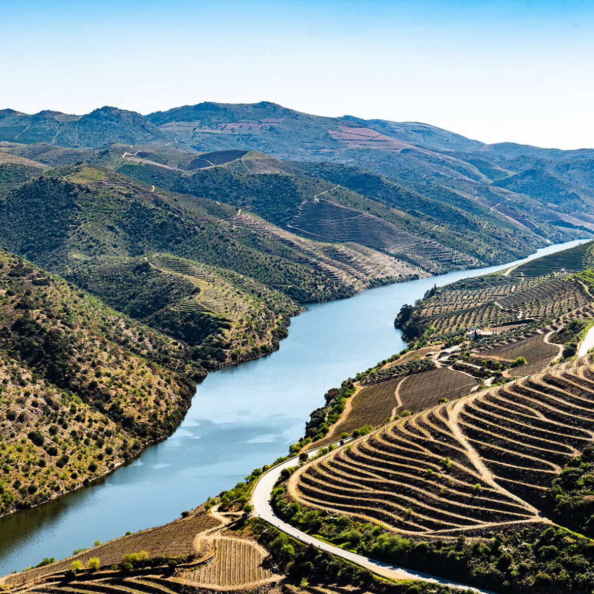 The Vines Douro Blending Escape - Master Suite
