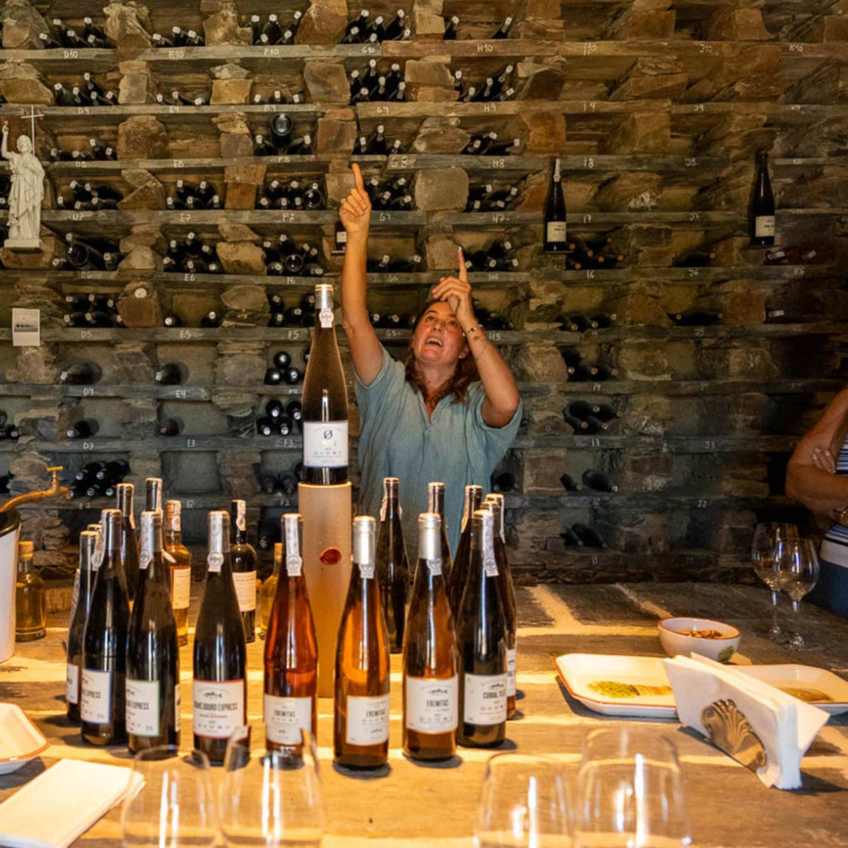 The Vines Douro Blending Escape - Standard Room