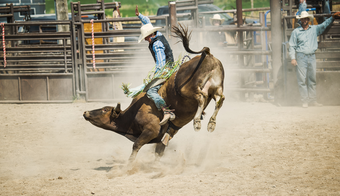 National Finals Rodeo - Two Sessions 100 Level Experience