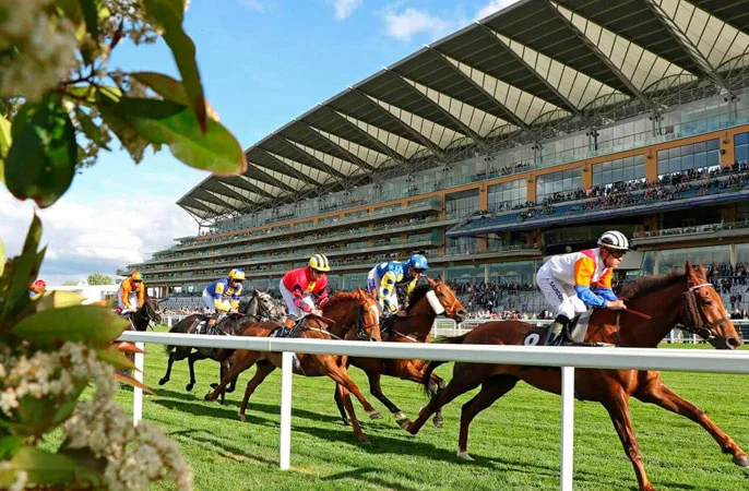 2026 QIPCO King George Day – Ascot Racecourse Experience for Two
